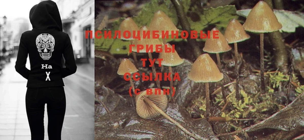 марки lsd Богданович