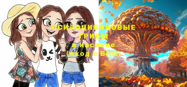 мефедрон Богородицк